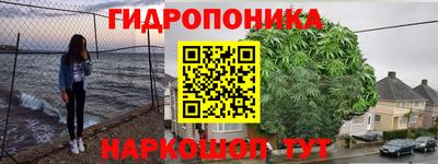 PSILOCYBIN Изобильный
