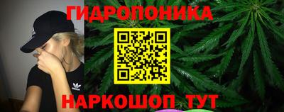 PSILOCYBIN Изобильный