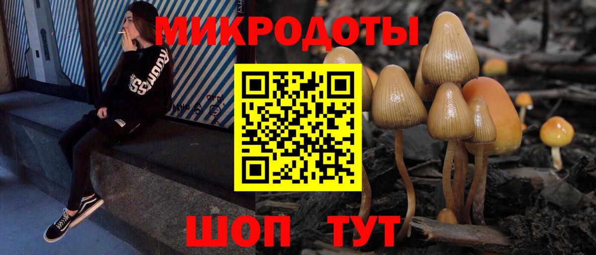 Псилоцибиновые грибы Psilocybine cubensis Лянтор